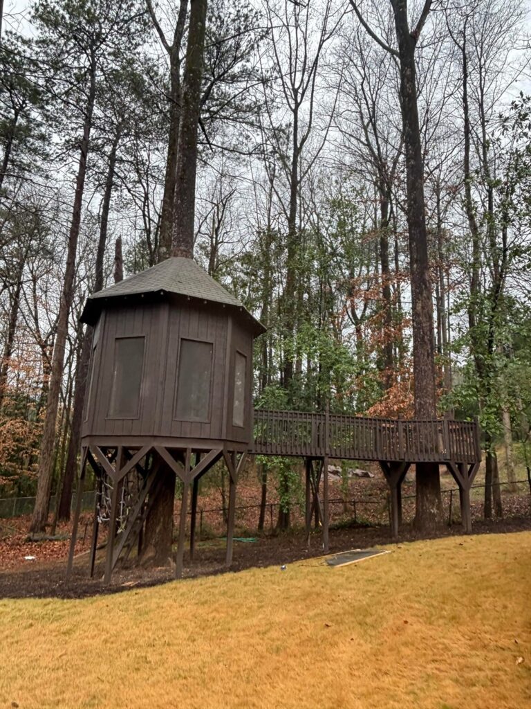 Is it time to demo the treehouse?