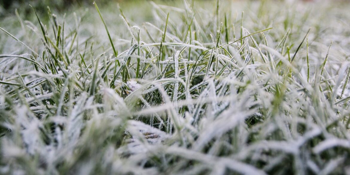 Why You Should Never Mow Your Lawn in Frost Why You Should Never Mow Your Lawn in Frost