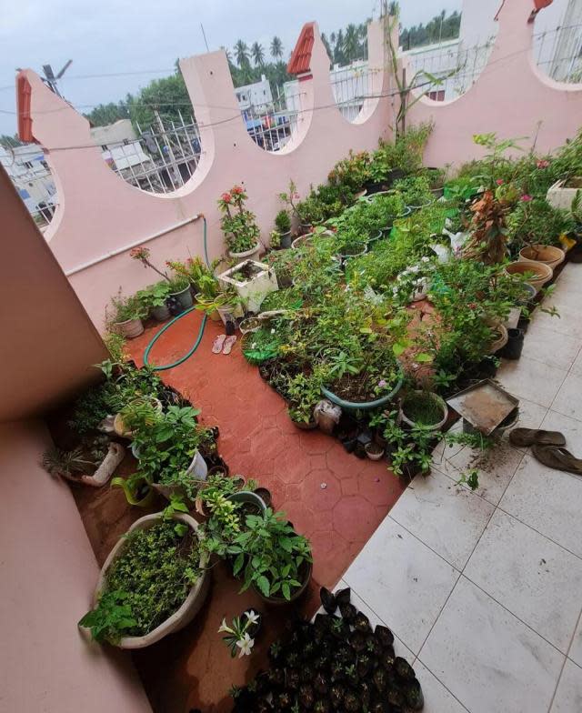 One gardener just proved to Reddit that you don't need much — or even a yard — to make a beautiful terrace garden.