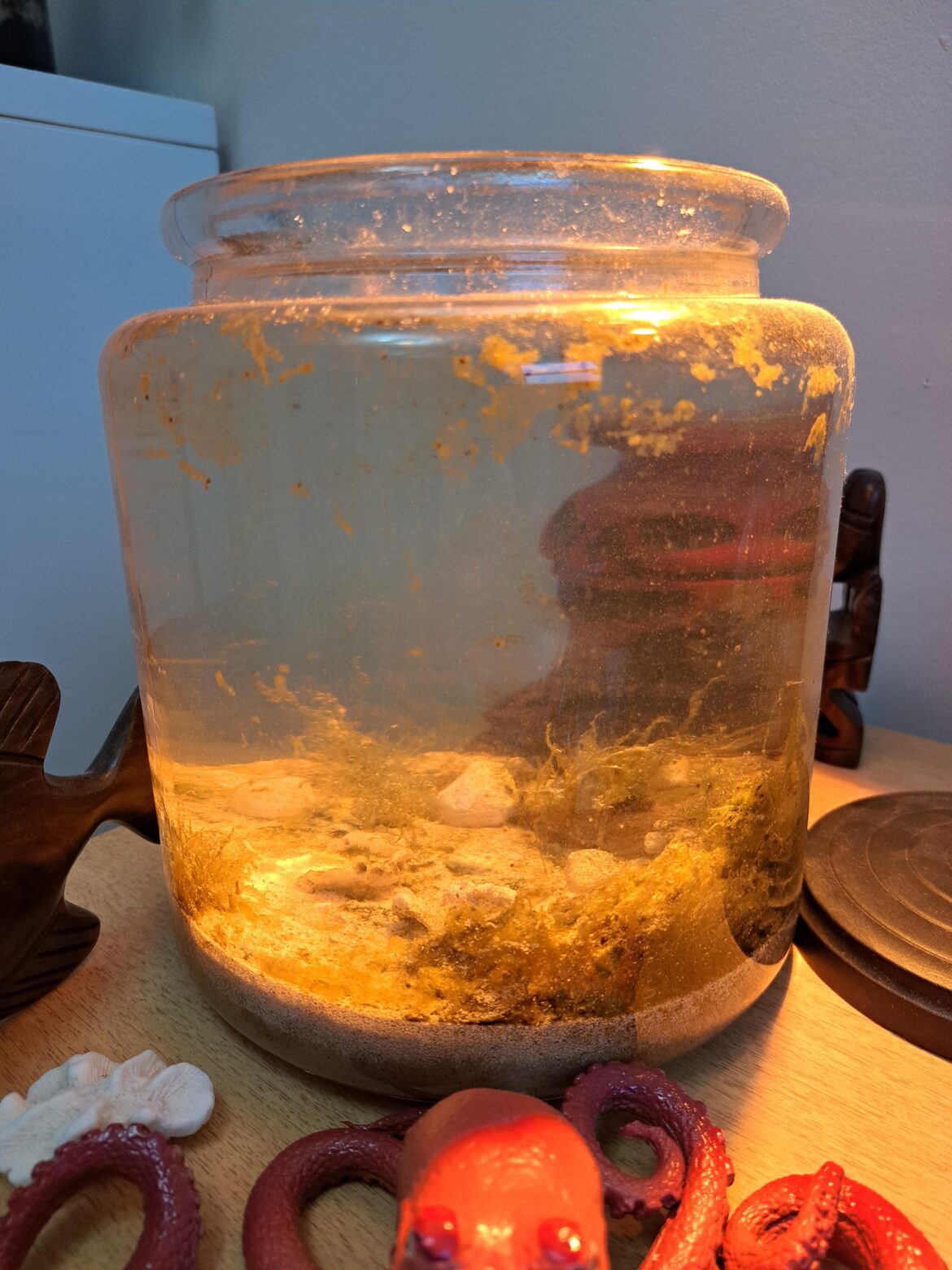 Micro pump for tiny saltwater setup?