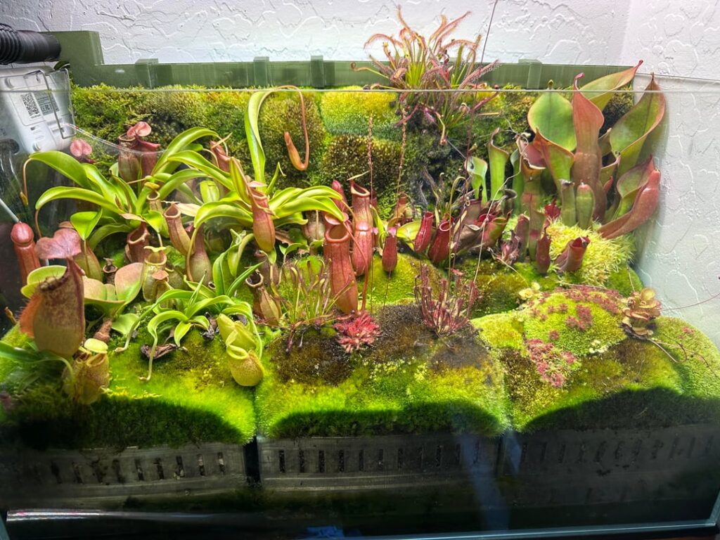Terrarium Update