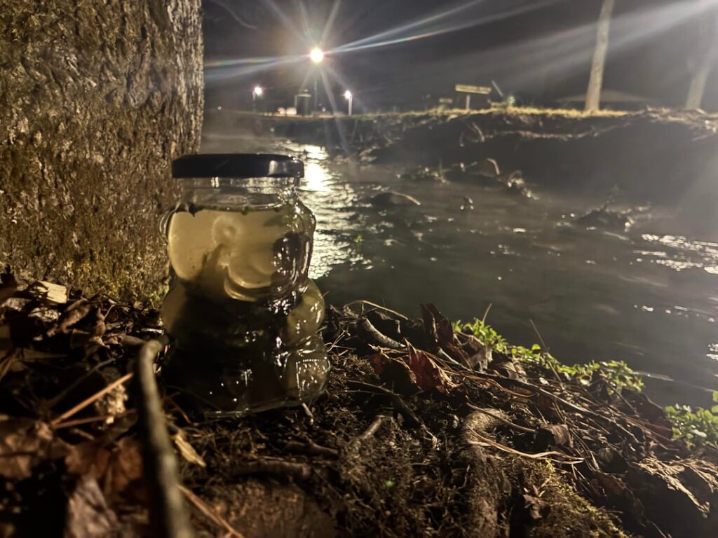 Went to the local park late last night to make two new ecospheres!