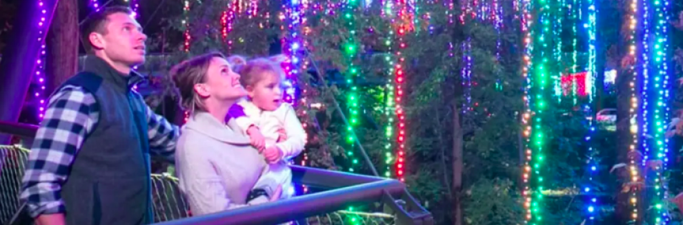 Garden Lights, Holiday Nights | 01/05/2026 5:00 PM Garden Lights, Holiday Nights | 01/05/2026 5:00 PM