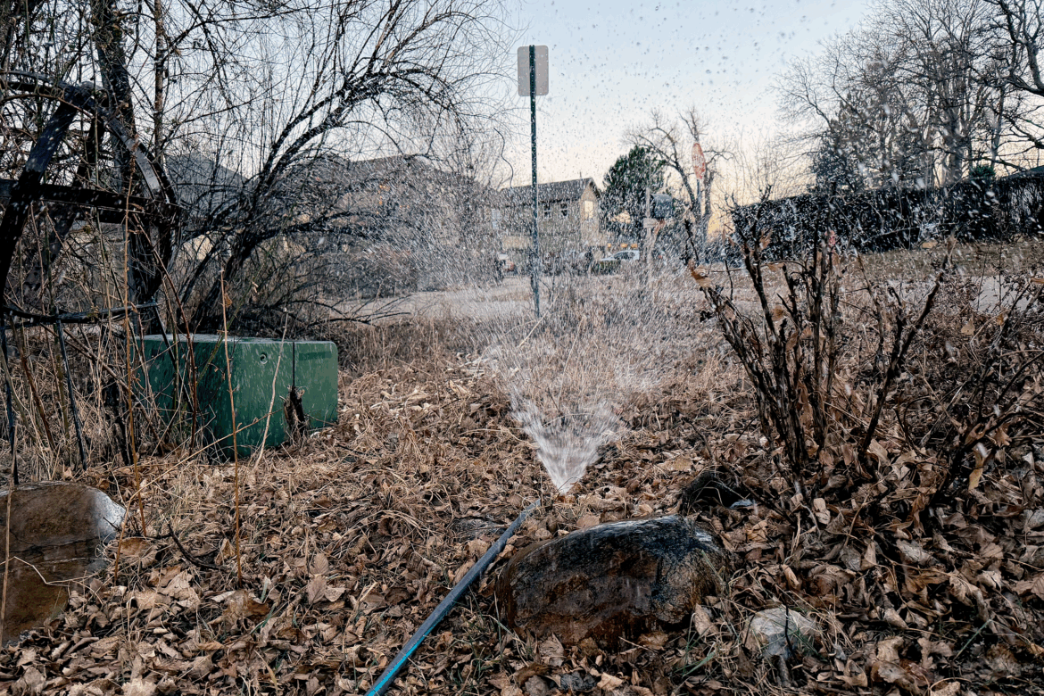 Front Range drought brings lawn and garden advice