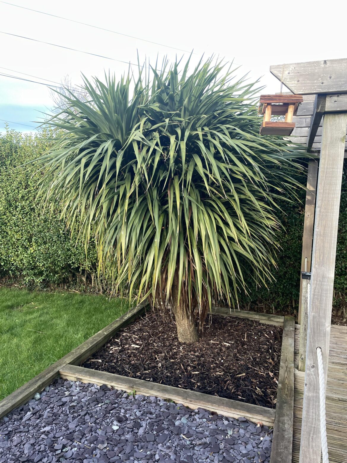 How to trim this How to trim this