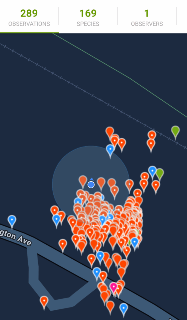 Ended 2025 with 2,000+ square feet of native prairie and over 150 insect species recorded in our yard!