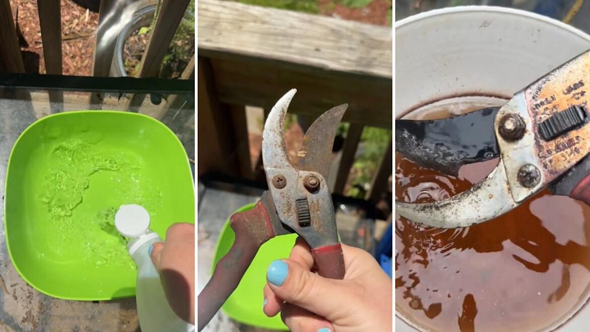'Look how clean this thing got'