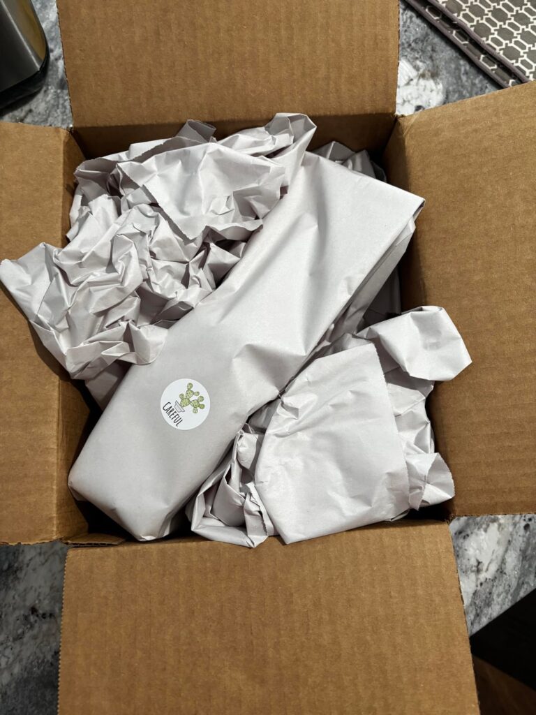 Christmas came today!