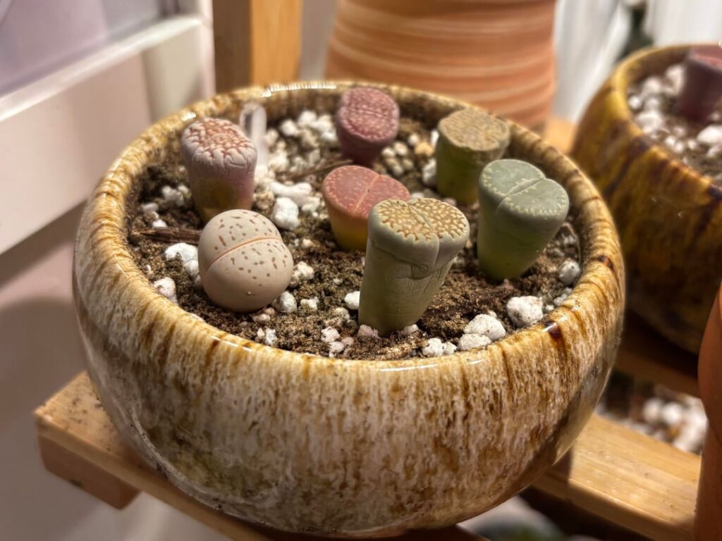 Time to water? Time to water?