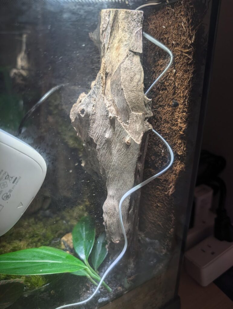 Dead Space/mold concern?