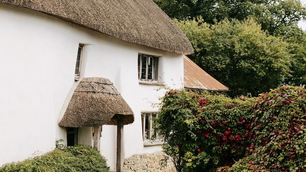 The most surprising things about moving to the countryside