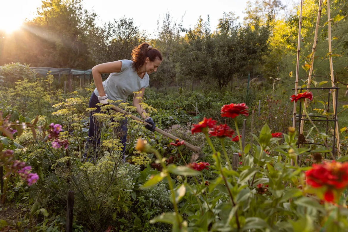 Yahoo lifestyle home