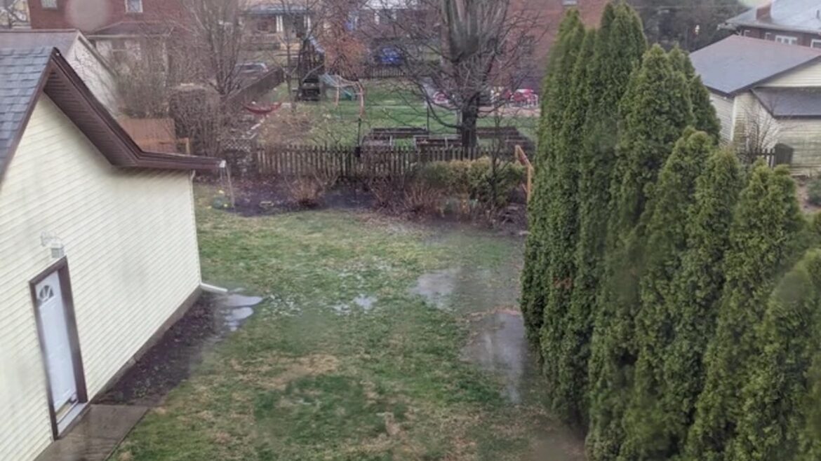 Homeowner shares before-and-after photos after building ingenious solution to backyard flooding issue: ‘Looks awesome now’ One gardener shared a story on r/landscaping about how they built a rain garden to fix a drainage issue in their backyard.