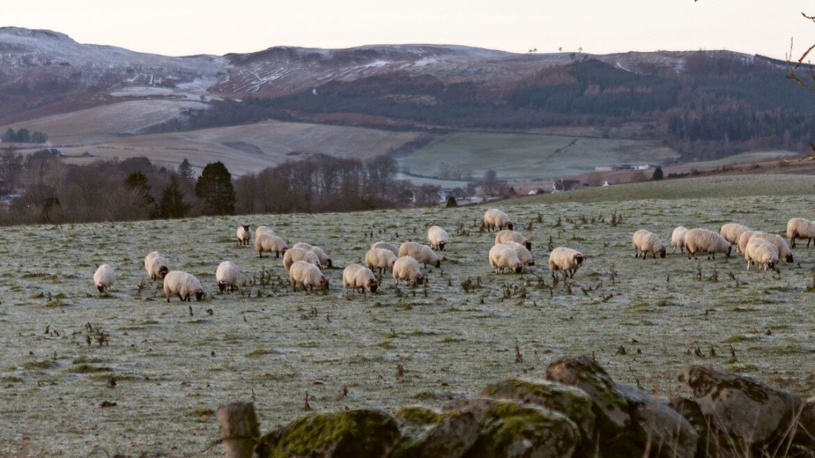 An ode to winter in the Scottish Highlands