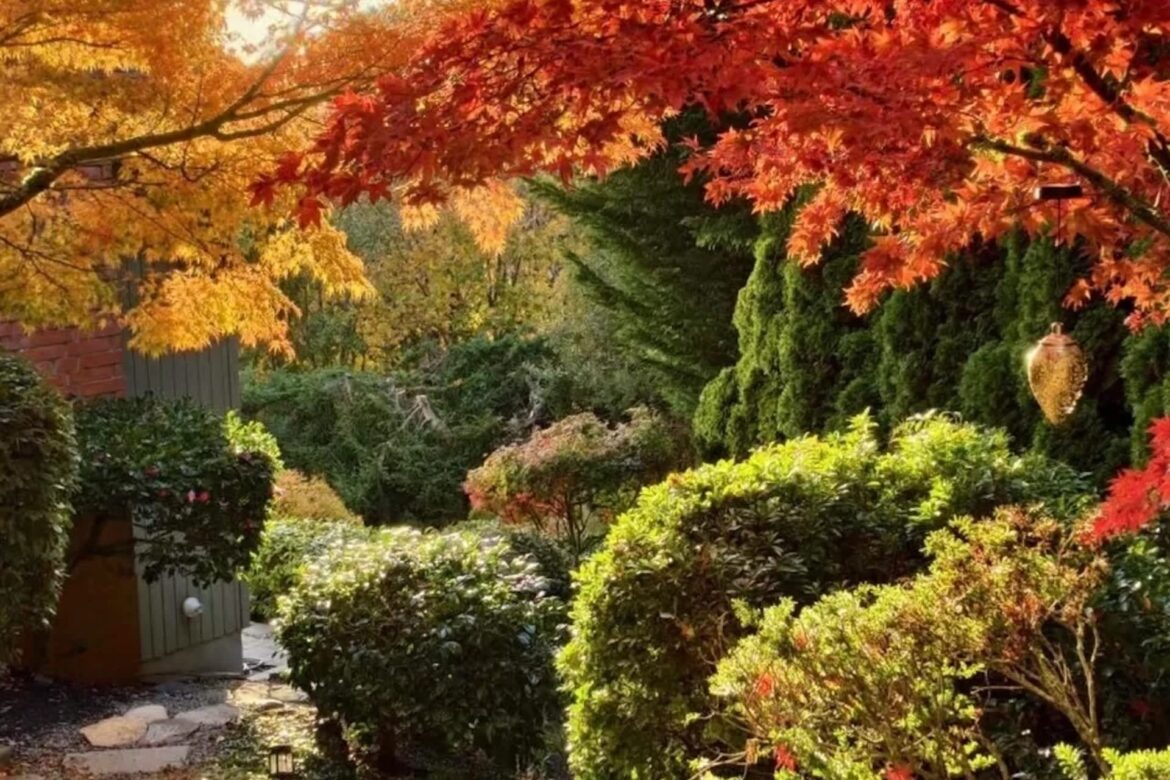 Visitor shares jaw-dropping photos of friend’s ‘fairytale’ garden: ‘It’s gorgeous’ A Redditor shared the stunning images from their friend's garden, highlighting the serene natural beauty of home gardens.