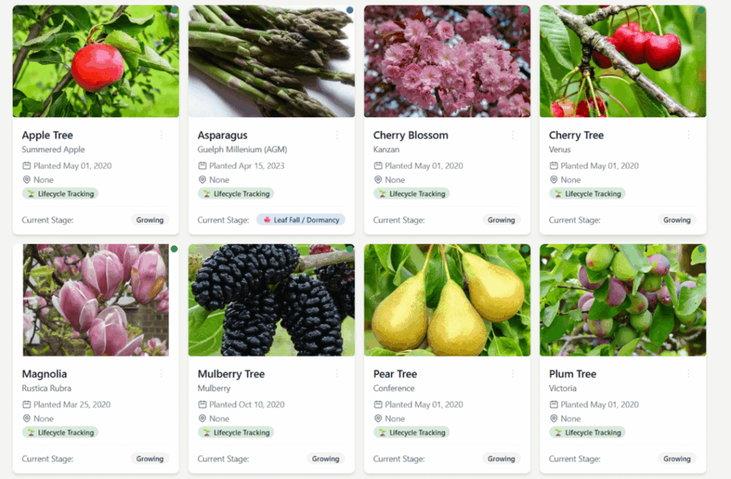 Update: Added perennial tracking to my garden planner