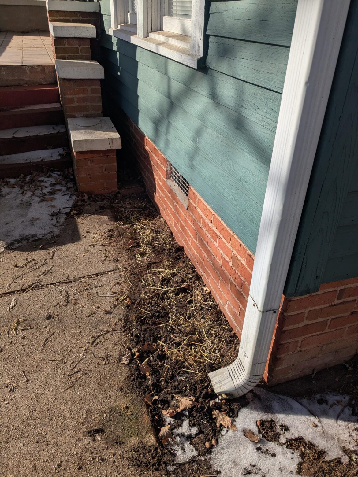 What would you plant here? 7b Morning sun ☀️ NE Georgia