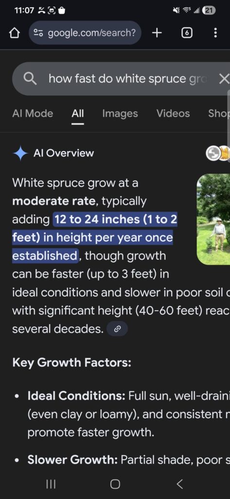 Do NOT listen to google/AI for tree growth rates Do NOT listen to google/AI for tree growth rates