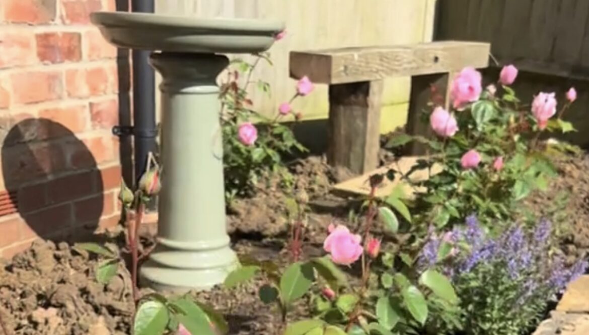 Gardener shares stunning before-and-after video of 3-year transformation: ‘Beautiful’ One TikToker shared a video of her garden's three-year transformation from a once-plain yard into a natural, pollinator-friendly space.