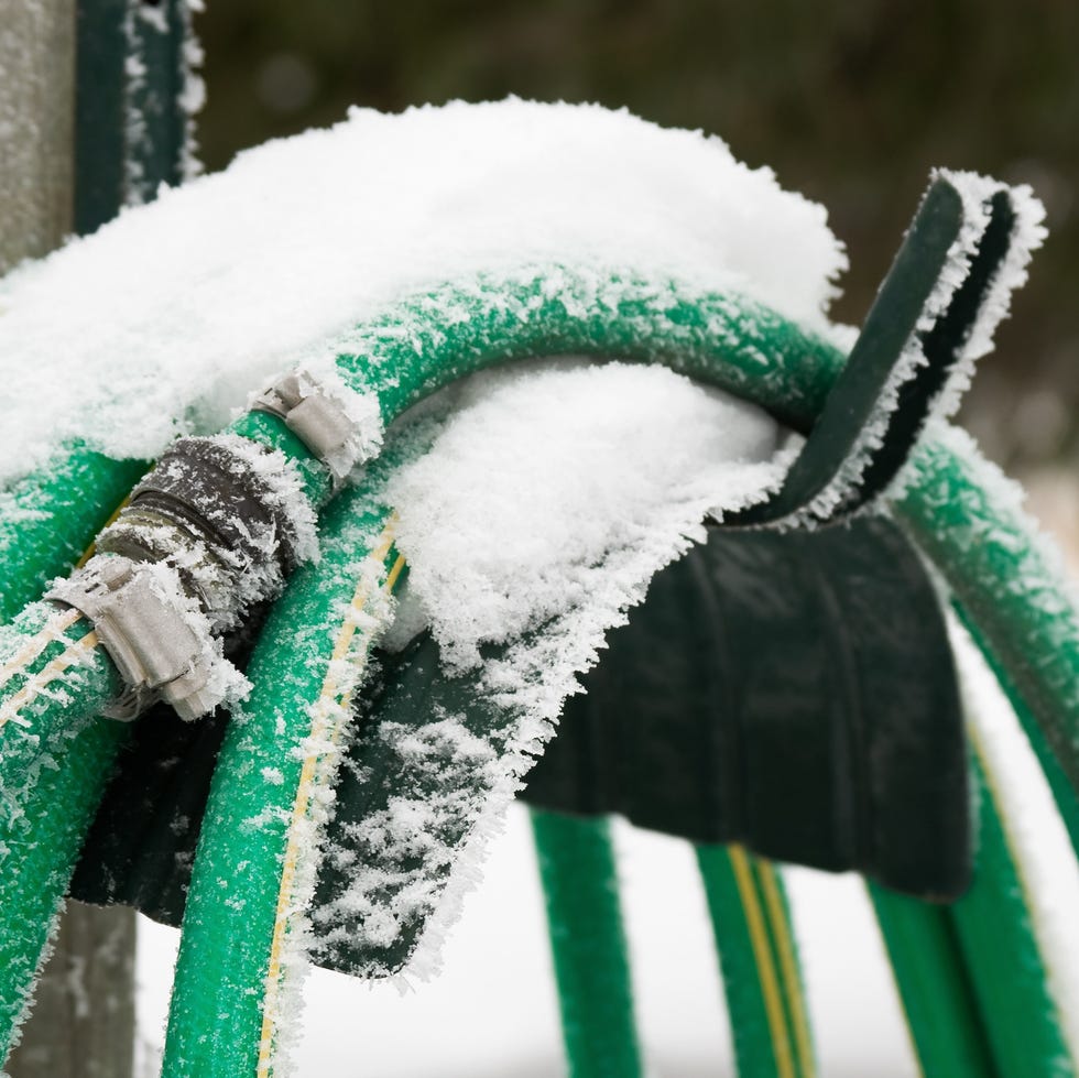 garden hose covered with snow and frost