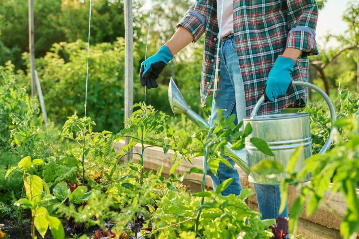 Applications open for U of I Extension’s Master Gardener training program Applications open for U of I Extension’s Master Gardener training program