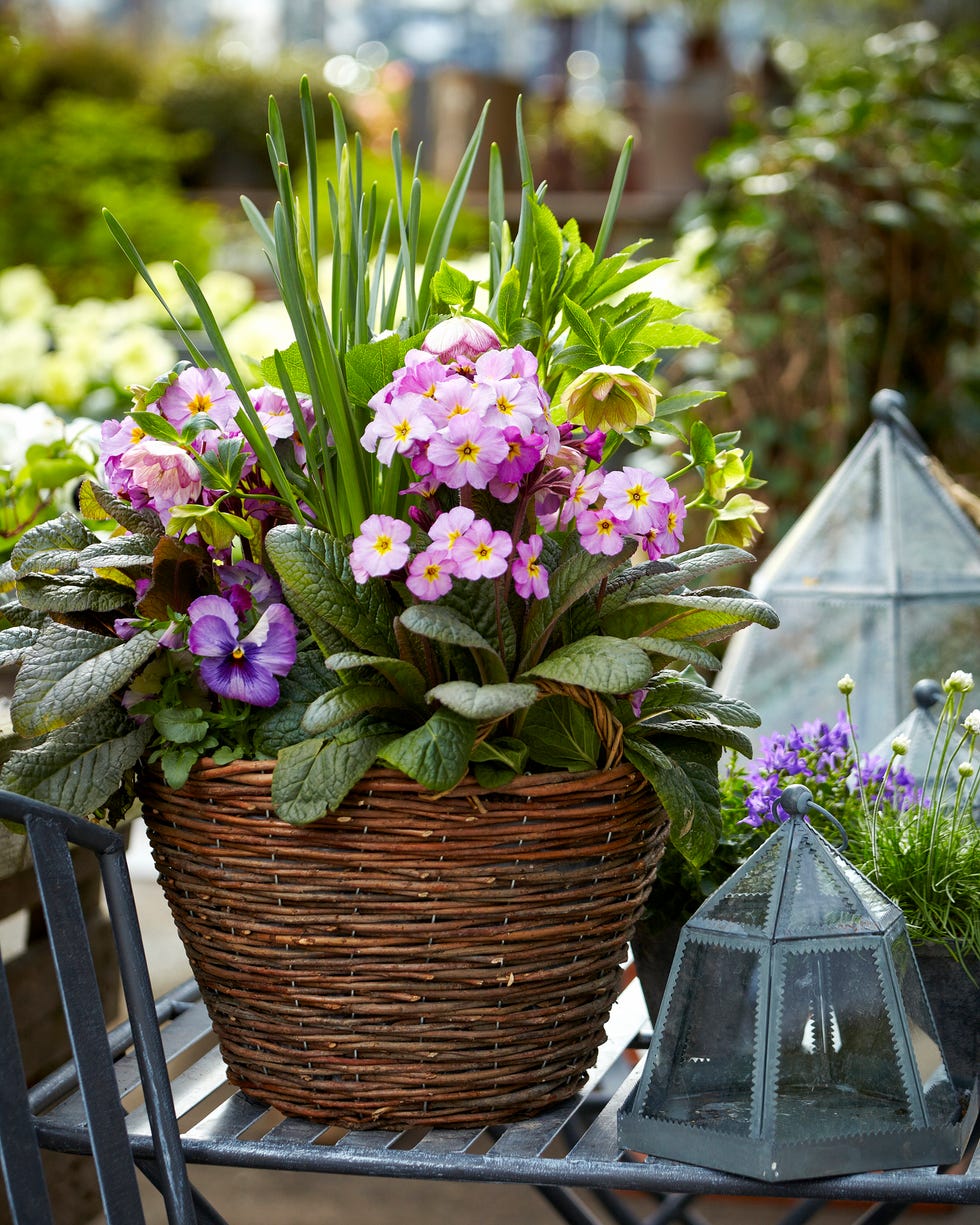 Gardening trends 2026 pollinator flowers a woven basket filled with various flowers and plants accompanied by a decorative lantern