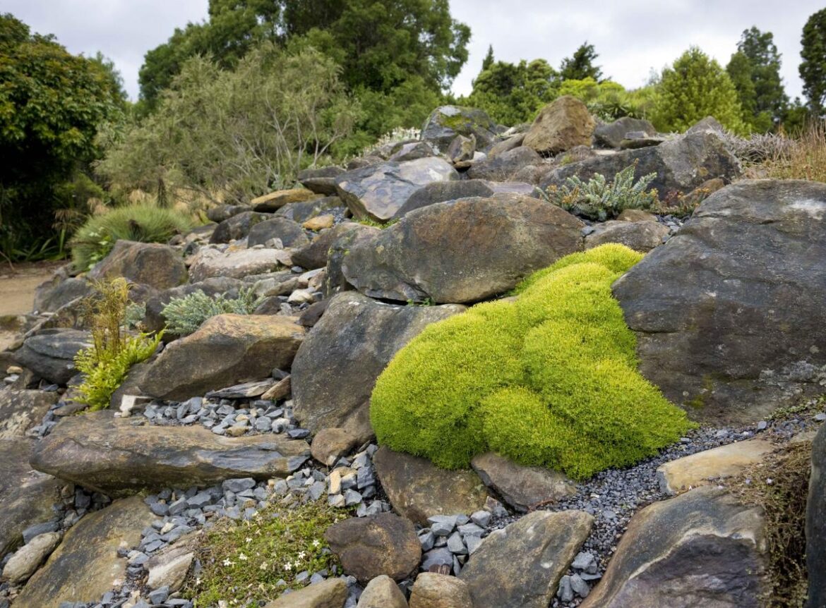 'Mini mountain' a challenge | Otago Daily Times Online News