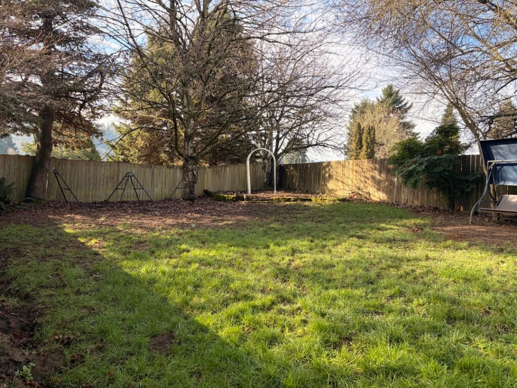 Help! My yard is a mess