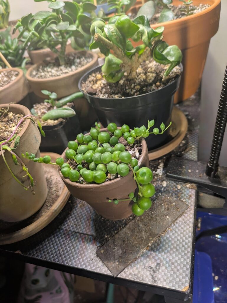 Help a girl out!🤦