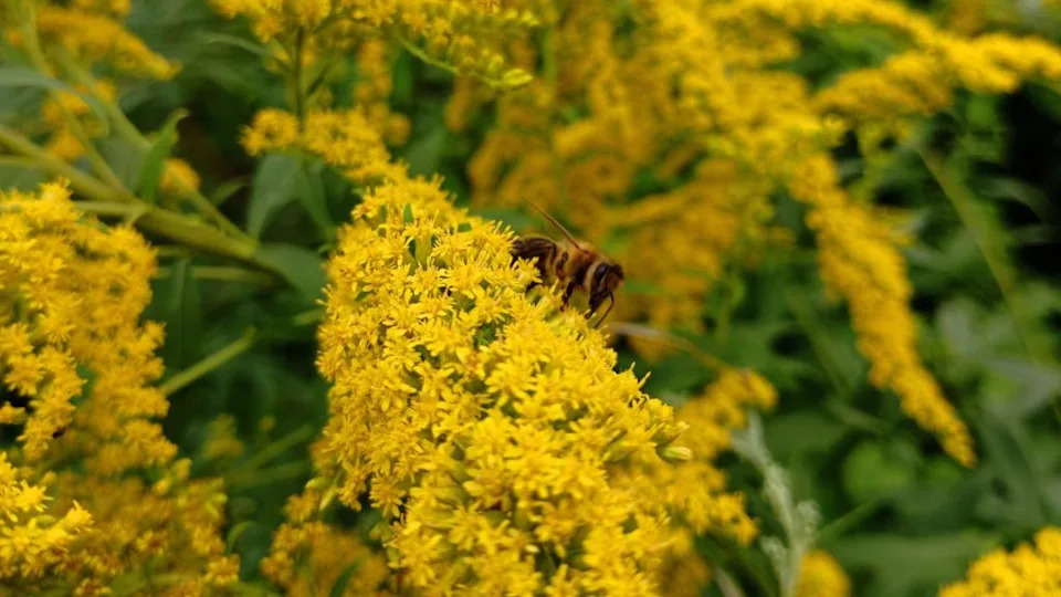 Image Credit: Deposit Photos