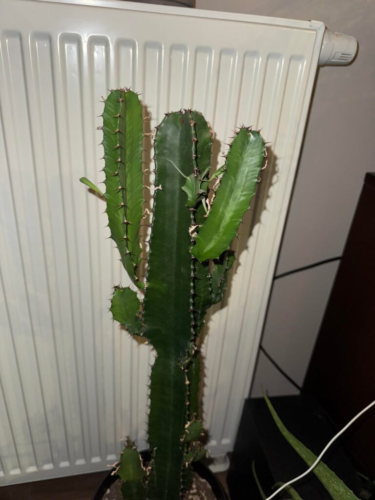 Can you help me?