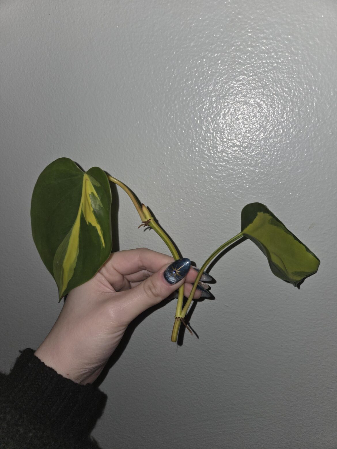 Best way to propagate?