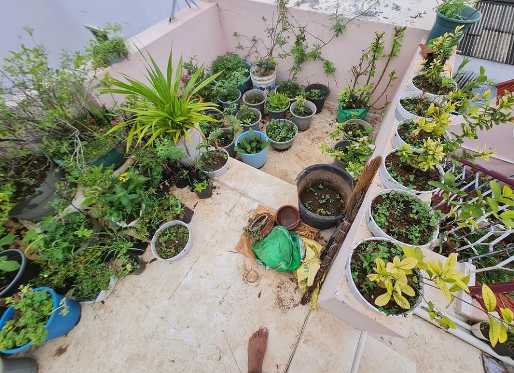 One gardener just proved to Reddit that you don't need much — or even a yard — to make a beautiful terrace garden.