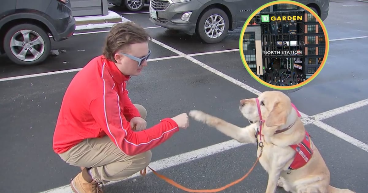 Service dog denied entry at TD Garden, owner says it was a misunderstanding – Boston 25 News