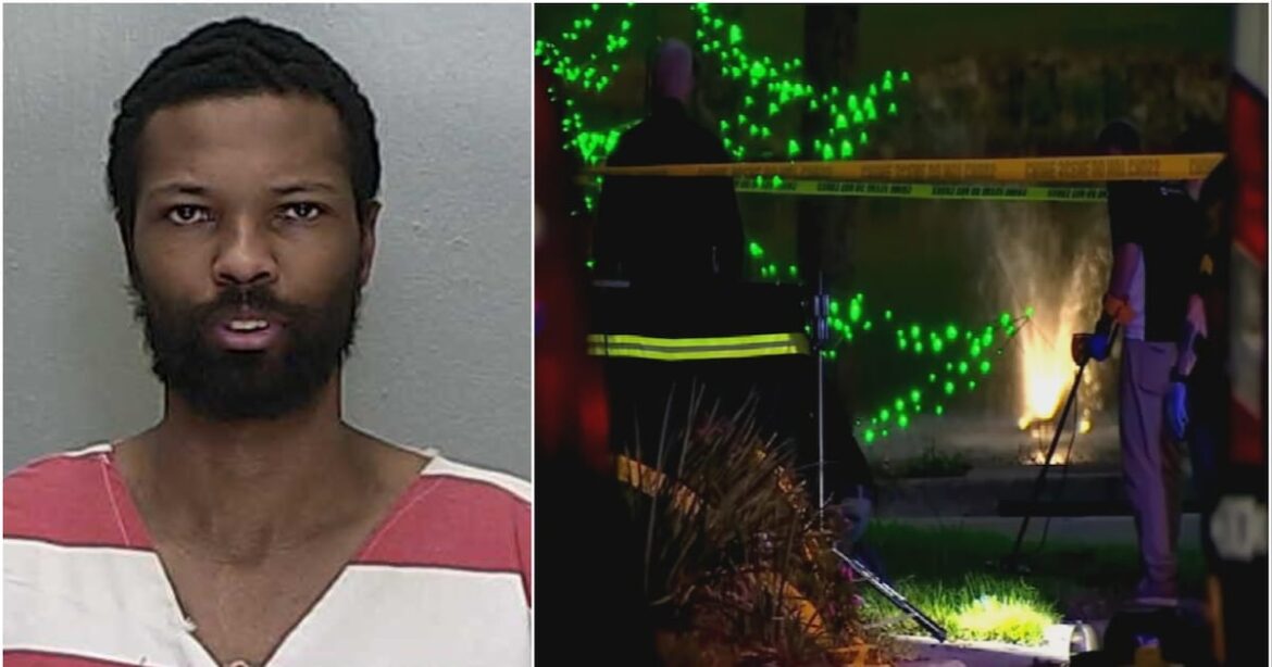 Army veteran accused of randomly killing Ocala man gardening in his front yard – WFTV