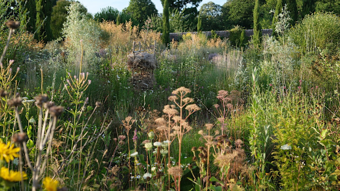 ‘Rewilding a garden is not about closing the gate and letting it go’ ‘Rewilding a garden is not about closing the gate and letting it go’