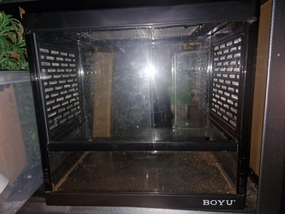 Any suggestions on what i should but in the viv it a bit of a weird size it 35.8X21.8X33.7CM