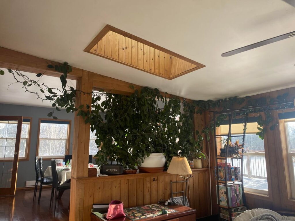 House came with a huge Hoya!