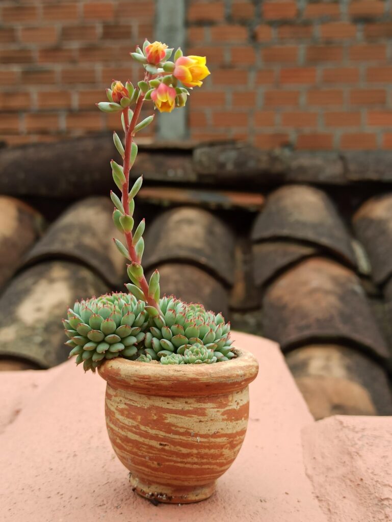 I love this Vincent Catto