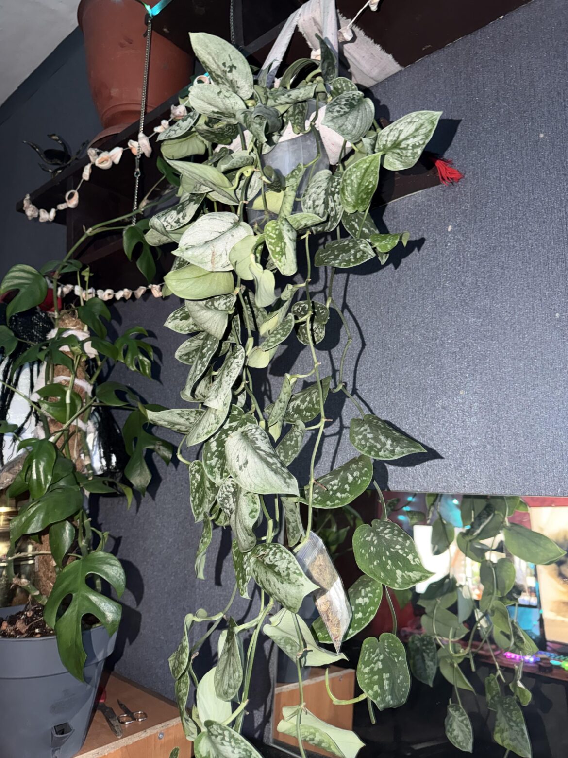 Why does this happened? Why does this happened?