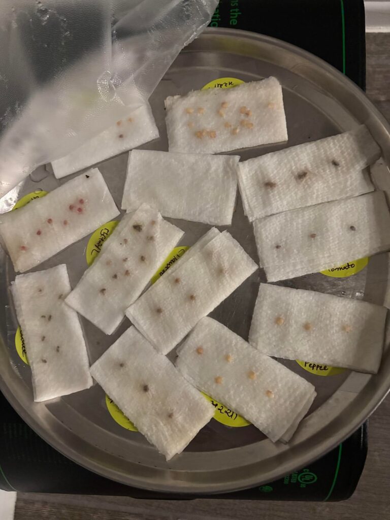 Is this seeds growing set up, correct? Is this seeds growing set up, correct?