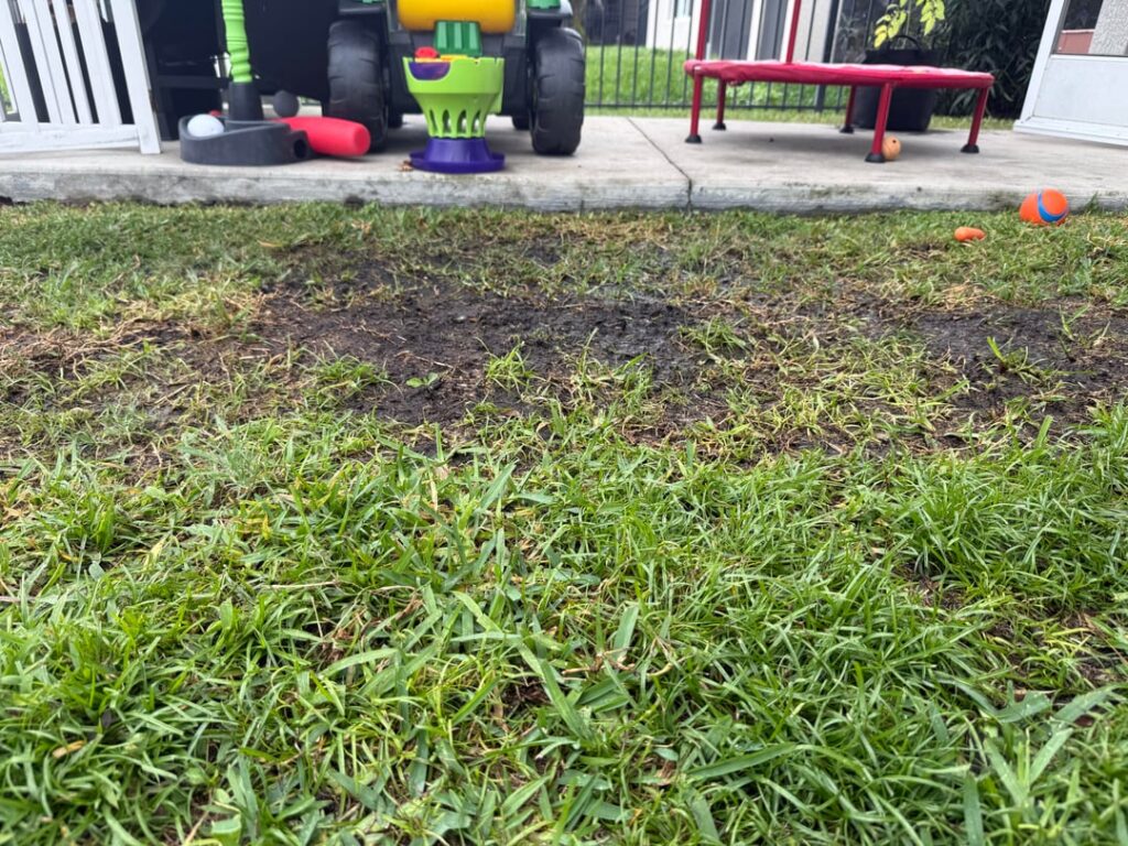 Need advice