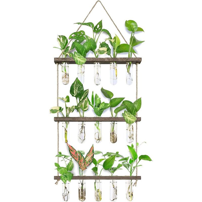 Dakota Fields Wall Hanging Propagation Station With Wooden Stand 5 G... | Wayfair