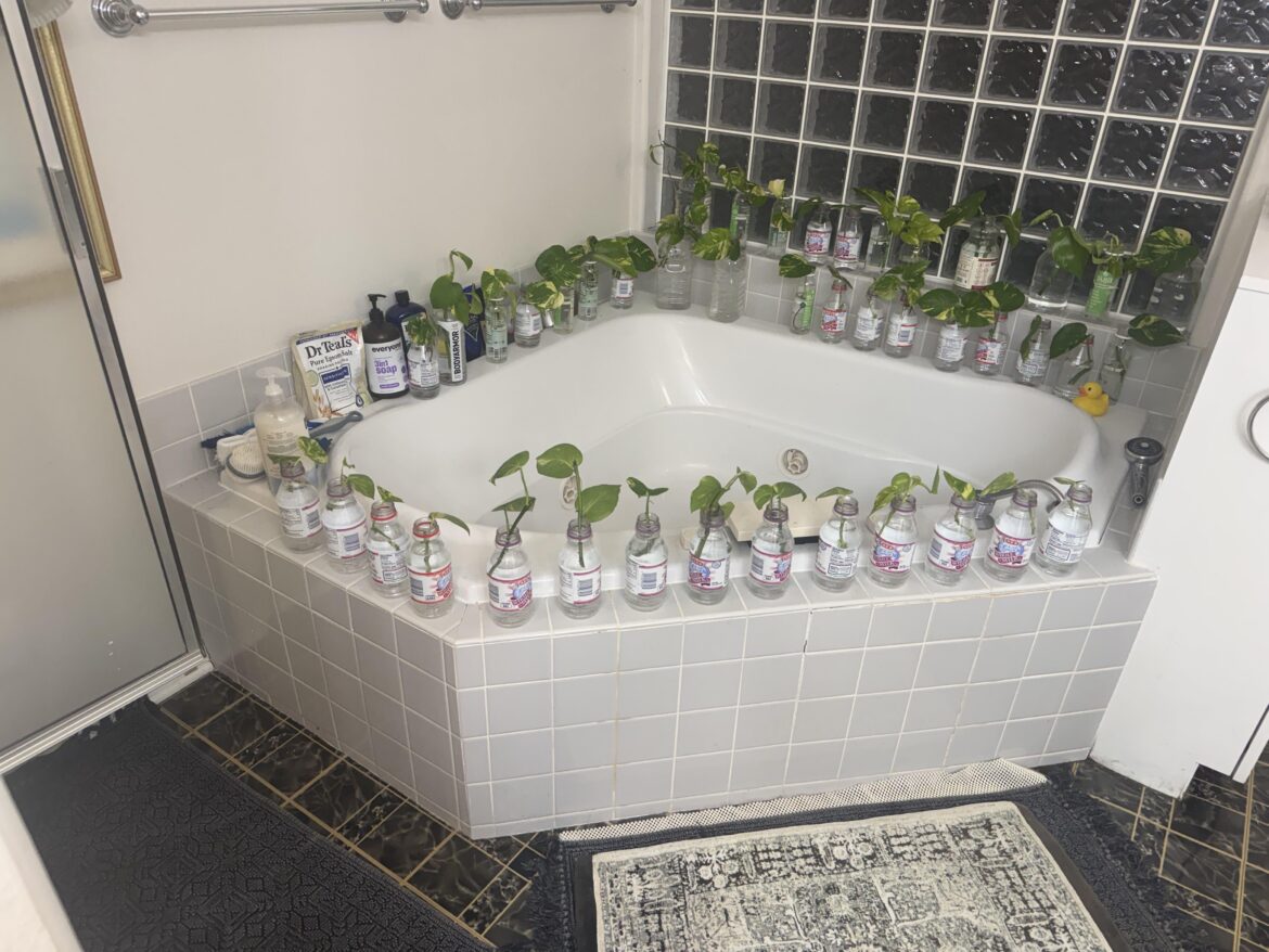 My first Chop-n-prop