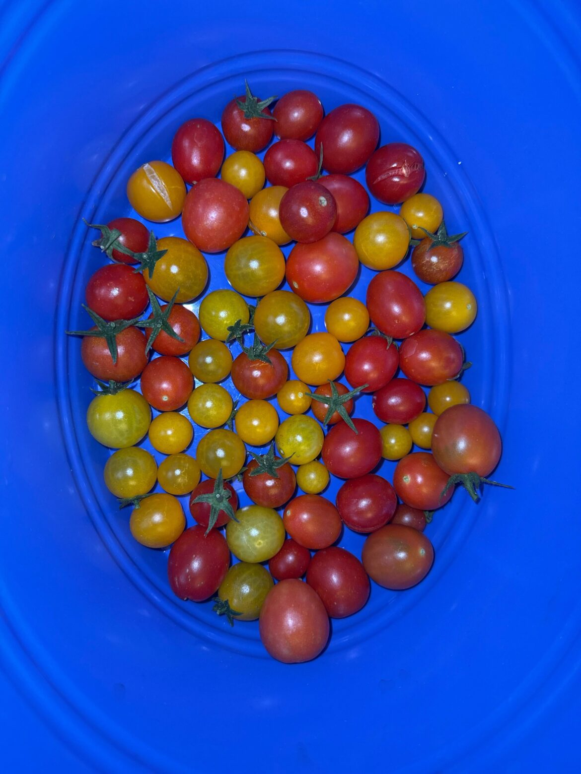 New Year’s Eve haul