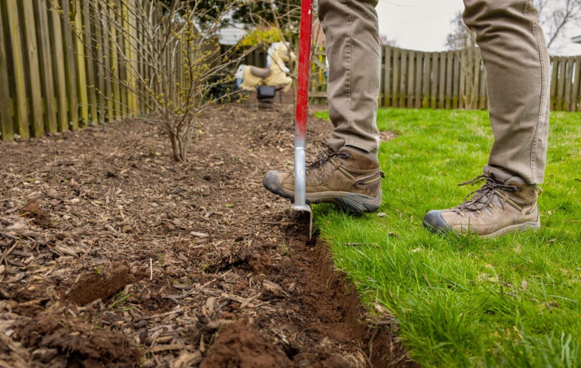 ‘It will definitely be a lot of work’ One gardener learned a tough lesson after using landscape fabric around their trees.