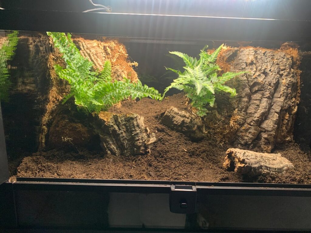 New build and some photos from start to finish