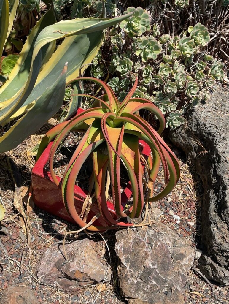 Summer vs Winter ☀️🌧️