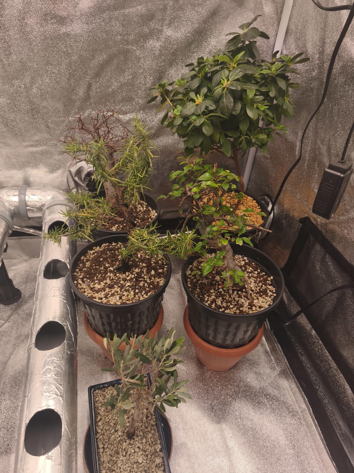 Air filter on intake