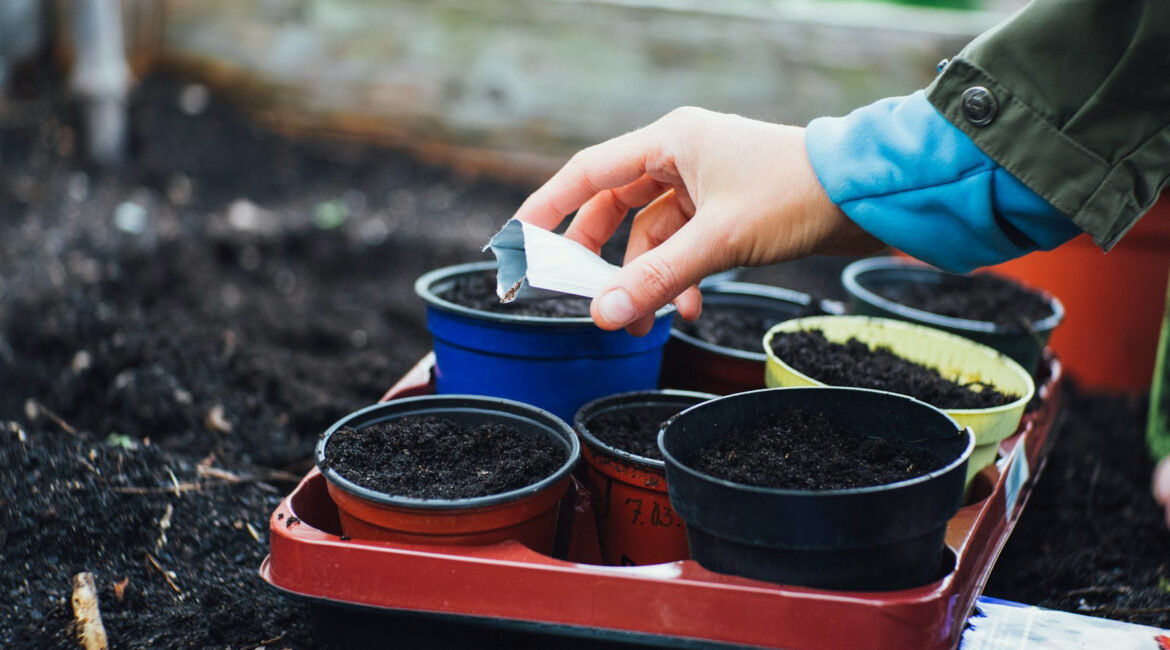Workshops on Winter Sowing